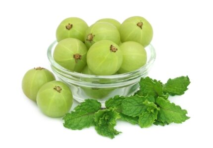 Amla Fruit Extract