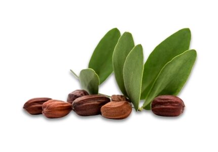 Jojoba Seed Wax