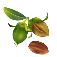JOJOBA SEED WAX