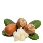 SHEA BUTTER