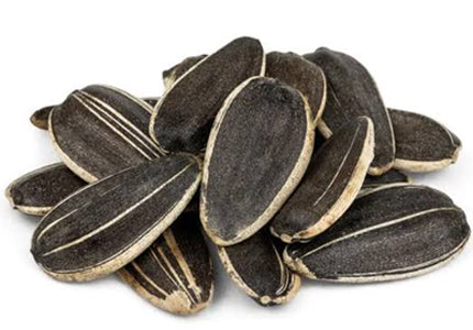 Sunflower Seeds